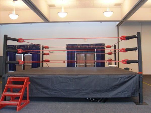 Pro Wrestling Ring 18' X 18'