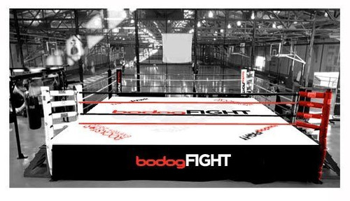 PROFESSIONAL Elevated Boxing Ring