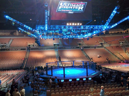 Octagon Fight Competition Cage