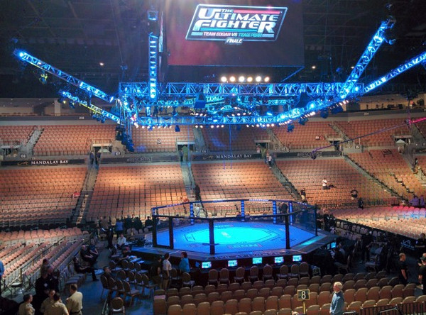 Octagon Fight Competition Cage