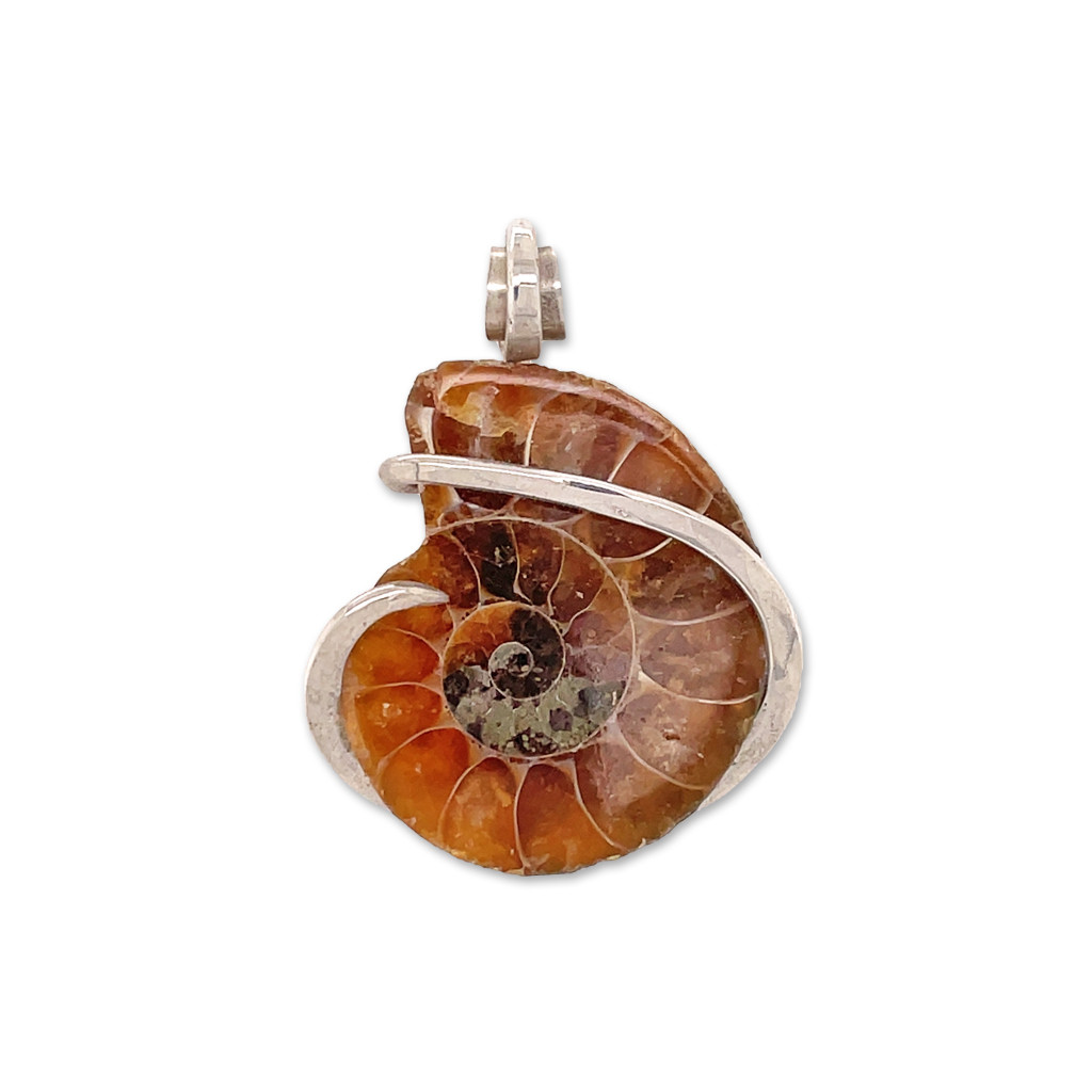 Ammonite Pendant Necklace (M1140)