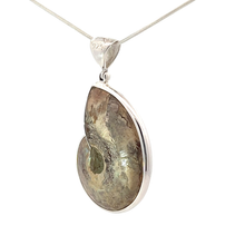 Ammonite Ammolite Inlay Pendant (SB1444)