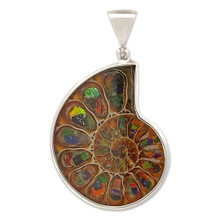 Ammonite Ammolite Inlay Pendant (SB1444)