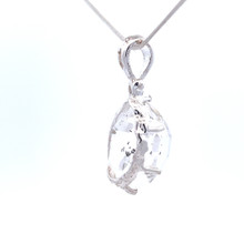 Herkimer Diamond  Pendant (SB2634)