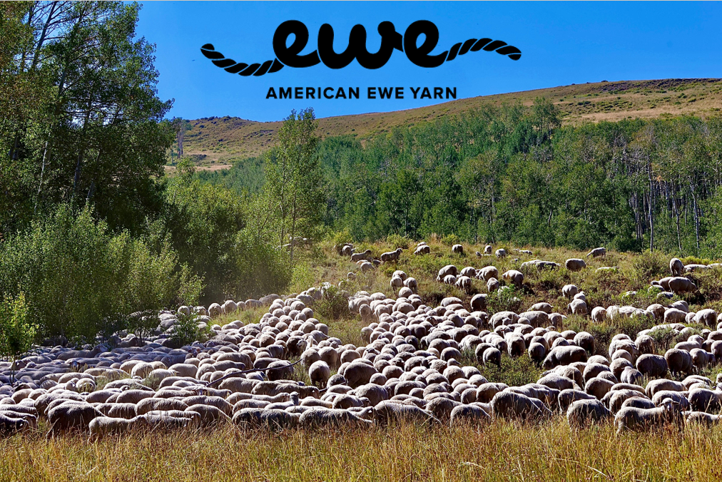 American Ewe Bulky Yarn
