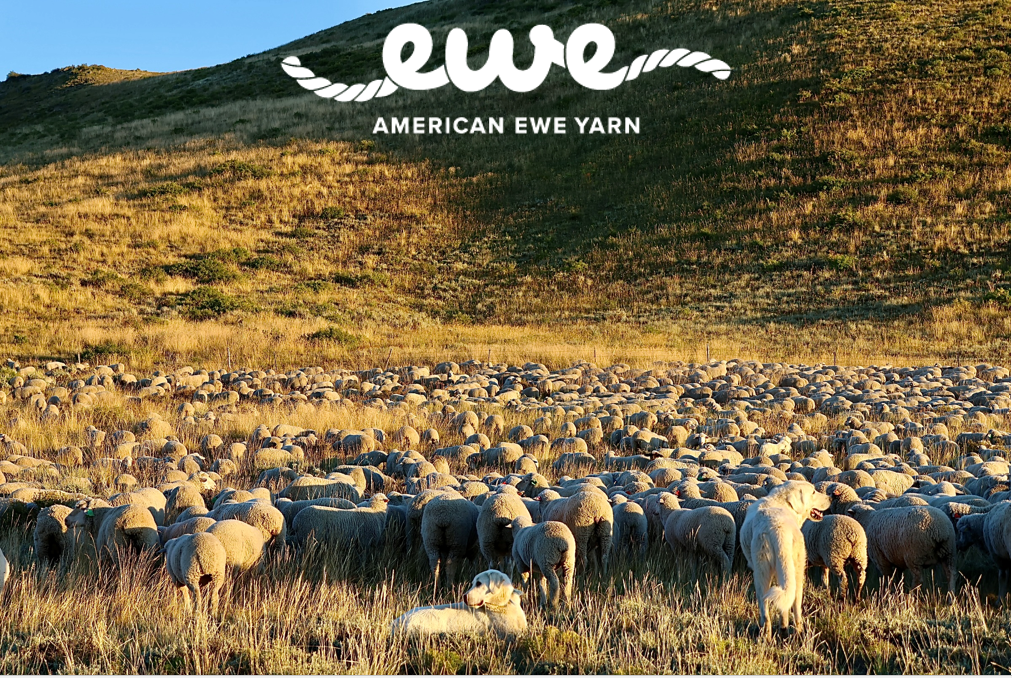 American Ewe Bulky Yarn