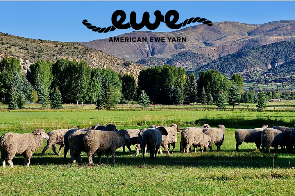 American Ewe Bulky Yarn