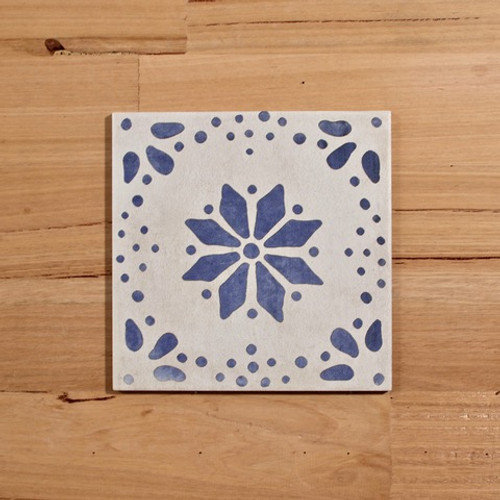 Antigua Blue Wall and Floor tile 205x205mm
