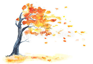 DIY Treatments for Dry Skin DIY Treatments for Dry Skin