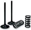 KTM 250 SX-F 2005-2015 INTAKE VALVES & SPRINGS KIT STEEL PROX 
