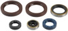 KTM 125 SX 1998-2024 ENGINE OIL SEAL KITS VERTEX