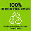 Seventh Generation 100% Recycled Facial Tissues - 2 Ply - White - PaperBox - 85/Box - 36 / Carton