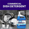Dawn  Dishwashing Detergent 70681 SPR-PGC70681