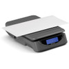 Brecknell  Digital Postal Scale PS25GRAY SPR-SBWPS25GRAY