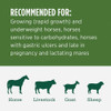 Standlee Premium Western Forage 50 Lb. Premium Alfalfa Grab & Go Compressed Bale 1100-20021-0-0 763635