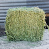 Standlee Premium Western Forage 50 Lb. Premium Alfalfa Grab & Go Compressed Bale 1100-20021-0-0 763635