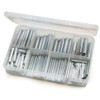 Itw Bee Leitzke Spring Pin Assortment,170 Pcs WWG-DISP-SP170