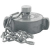 Dixon Hydrant Cap Brass,RockerLug w-Chain,NPSH RFC250