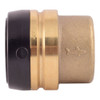 Sharkbite Cap, Brass, Push-to-Connect 1 7-8 in UXL0441