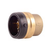 Sharkbite Cap, Brass, Push-to-Connect 1 7-8 in UXL0441