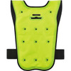 Ergodyne Dry Cooling Vest, Nylon, Hook-and-Loop, Green, M 6687