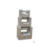 Rice Lake Weighing Systems Calibration Weight, Cast Iron, Metric 12775