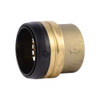 Sharkbite Push-Fit Fitting Cap, 2 in Tube Size, Brass, Brass UXL0454