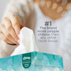 Facial Tissue, Kleenex Comfort Touch, Flat Box, 2 Ply, 100 Sheets-Box, 36PK  21400