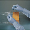 8005PF, Disposable Gloves, 8  mil Palm, Nitrile, Powder-Free, XL, 50 PK, Blue  8005PFXL