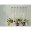 National Hardware 8 In. Brushed Gold Steel Modern Large S-Hook Plant Hanger N275-518 852091