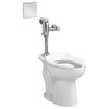 Toilet Bowl, 1.1 to 1.6 gpf, Flush Valve, Floor Mount, Elongated, White  3462001.020