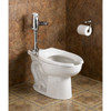 Toilet Bowl, 1.1 to 1.6 gpf, Flush Valve, Floor Mount, Elongated, White  3462001.020
