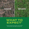 Turf-Builder 8lb Bermuda Rpdgrs Seed 18360 756559