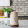 Candle Warmers Airome Ultra Sonic Essential Oil Diffuser - Flourish
