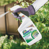 Captain Jack's Qt Rtu Weed&grass Killer 2602 704803