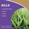 Captain Jack's Qt Rtu Weed&grass Killer 2602 704803