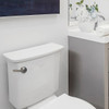 Korky StrongARM Universal Brushed Nickel Tank Lever with Faucet Style Handle 6071BP 404428