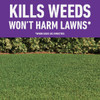 Roundup For Lawns 32 Oz. Concentrate Southern Formula Weed Killer 5012307 704925