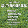 Roundup For Lawns 32 Oz. Concentrate Southern Formula Weed Killer 5012307 704925