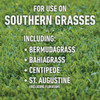 Roundup For Lawns 1 Gal. Ready To Use Wand Sprayer Southern Formula Weed Killer 5012506 704940