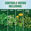 Roundup For Lawns 1 Gal. Ready To Use Wand Sprayer Southern Formula Weed Killer 5012506 704940
