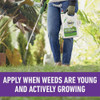 Roundup For Lawns 1 Gal. Ready To Use Wand Sprayer Southern Formula Weed Killer 5012506 704940