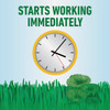 Roundup For Lawns 1 Gal. Ready To Use Wand Sprayer Southern Formula Weed Killer 5012506 704940