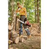 Troy-Bilt TB4216 42cc 2-Cycle 16 In. Gas Chainsaw 41AY4216766 700159