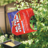 Bonide 10 Lb. Ready To Use Granules Ant, Flea & Tick Killer 60613 702267