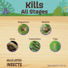 Captain Jack's Qt Rtu Db Insect Killer 2506 703878