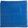 Do it Best Blue Woven 10 Ft. x 20 Ft. Medium Duty Poly Tarp 709123 709123