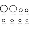 Danco O-Ring Assortment (14-Piece) 80788 410748