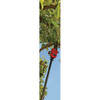 TrimmerPlus Pole Saw Attachment 41CJPA-C902 705929