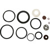Chapin Sprayer Repair Kit 6-1925